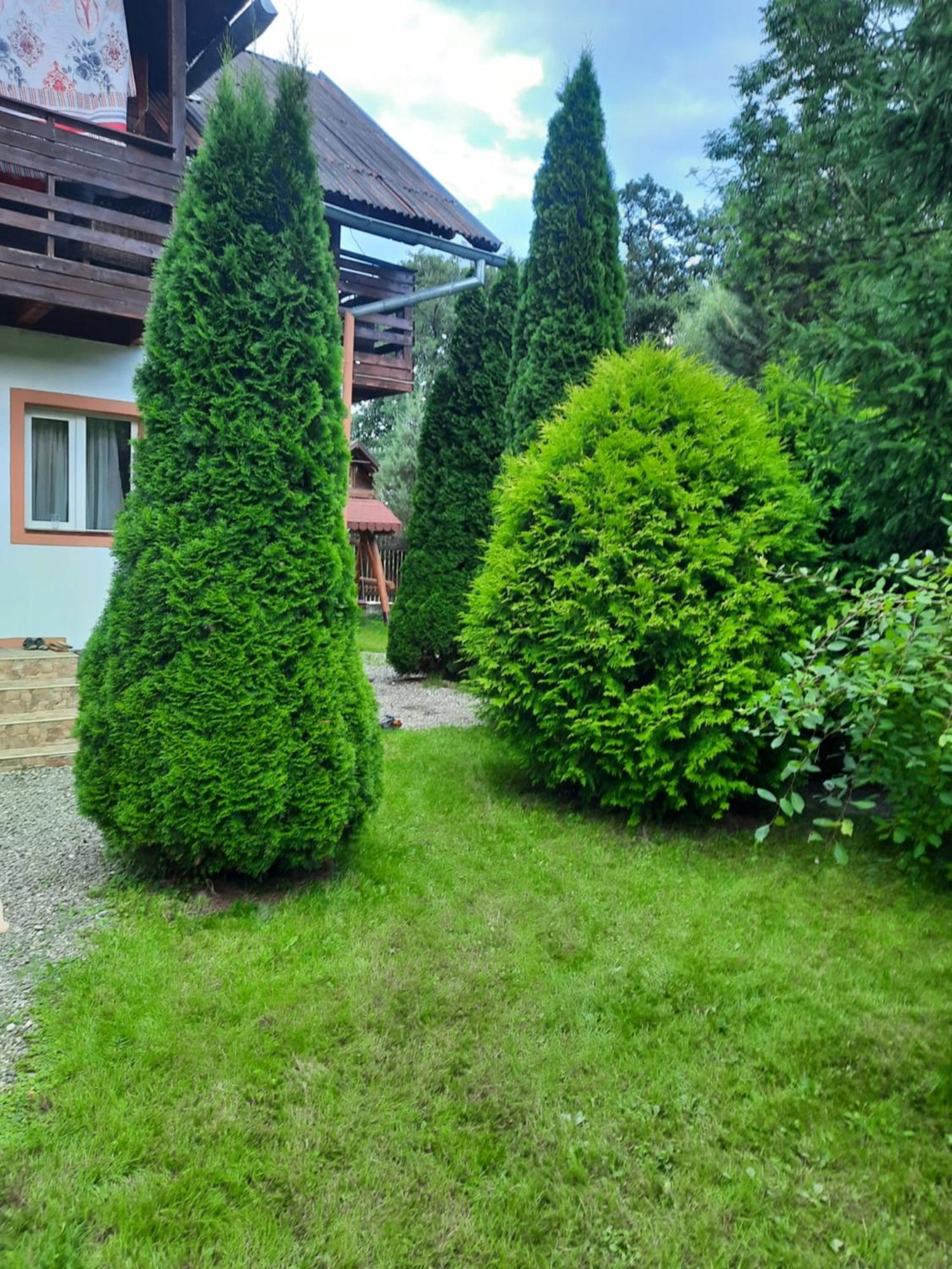 Villa Colt De Rai Bran  Exterior foto